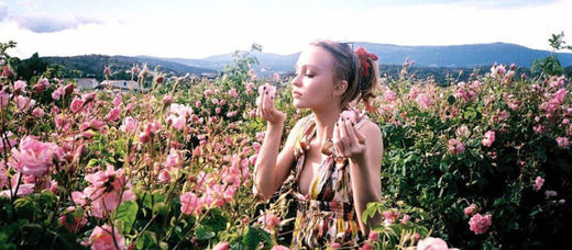 How to Make Sense of Scents